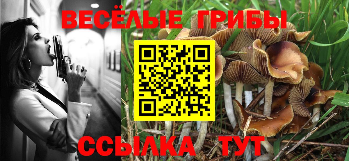 Галлюциногенные грибы Magic Shrooms Тимашёвск