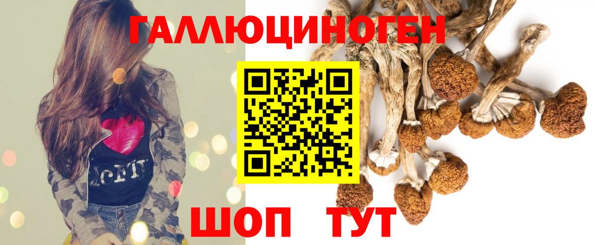 Тимашёвск  Галлюциногенные грибы мухоморы  Вход с VPN 